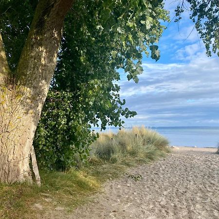 Feriendorf Suedstrand Haus 36 Pelzerhaken Bagian luar foto
